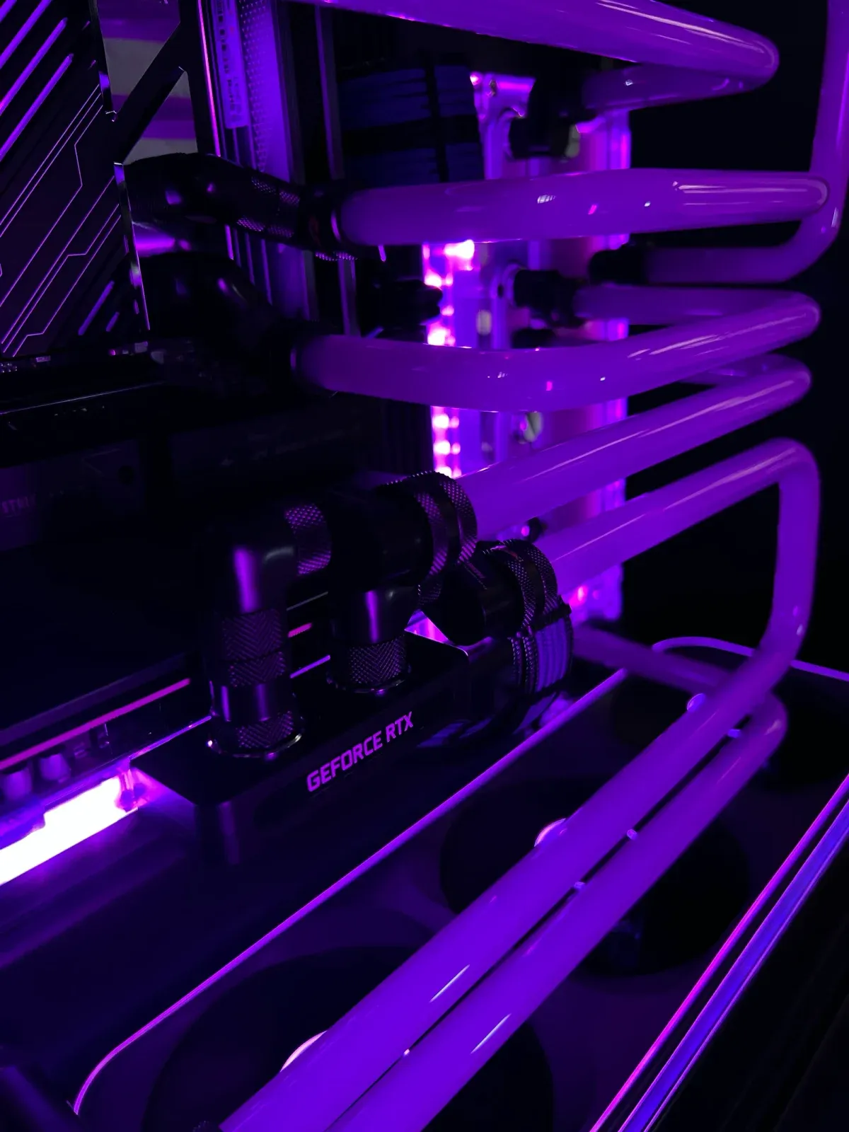 ANTECH PC × Magenta